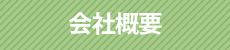ЊTv